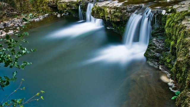 Oplev de bedste restauranter i Cardiff