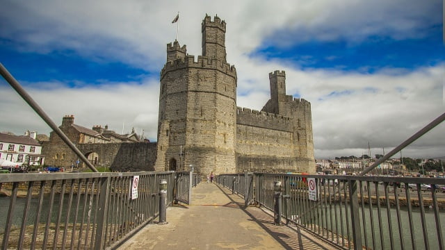 Opdag Cardiff City-spillernes storslåede præstationer