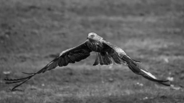 Cardiff City Forum – Få del i de seneste diskussioner og deltag i fællesskabet