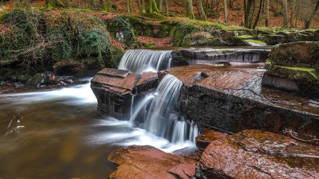 Hvad betyder Cardiff på walisisk? Opdag betydningen af Cardiff på walisisk