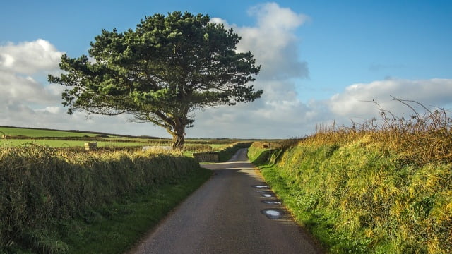 Hvad er Cardiff crack for en type kød? – En kort guide