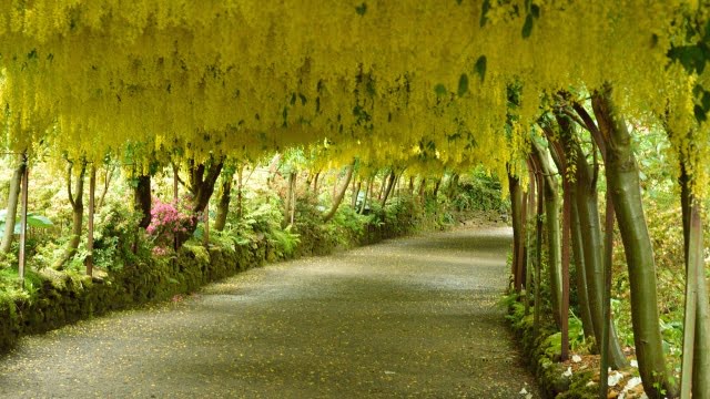 Hvad er Skotlands hovedstad og dens betydning?