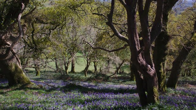 Er London og Cardiff i samme tidszone?