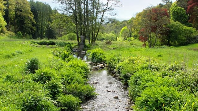 Hvad er Cardiff California kendt for? Opdag byens fascinerende kendetegn!